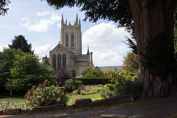 St Edmundsbury Cathedral St Edmundsbury Cathedral with tree in foreground bury st edmunds photos stock pictures, royalty-free photos & images