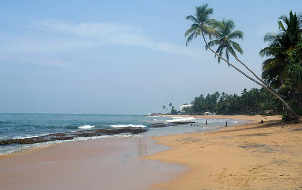 istock Tropical paradise  beach. Sri Lanka 485604054