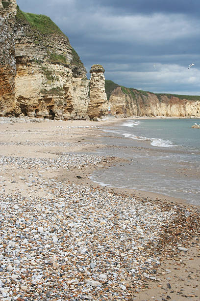 istock Marsden Rock and Bay, South Shields, Tyne and Wear 485607256