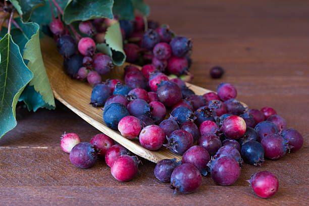 Bunch of first wild autumn berry stock photo