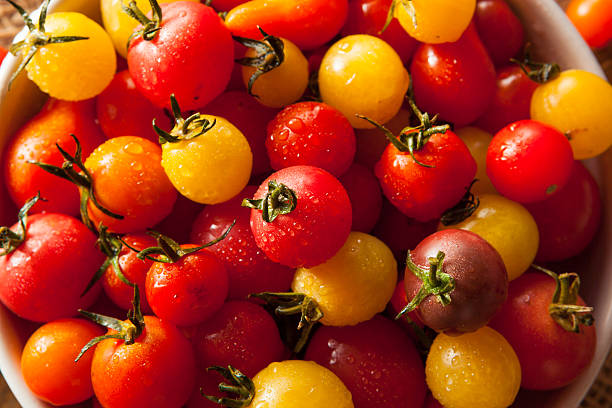 istock Organic Heirloom Cherry Tomatos 485607810