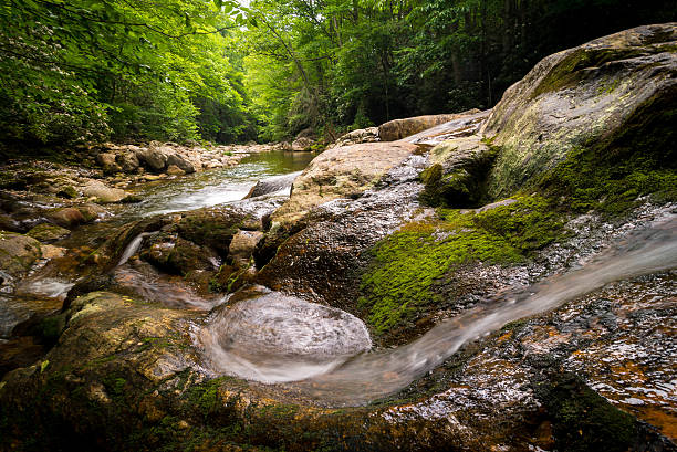 blue ridge mountain stream - blue ridge mountains stream forest waterfall - fotografias e filmes do acervo