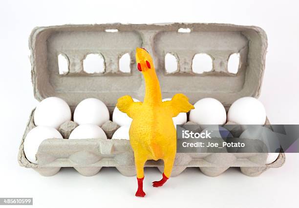 Proud Hen Stock Photo - Download Image Now - Animal Egg, Cardboard, Carton