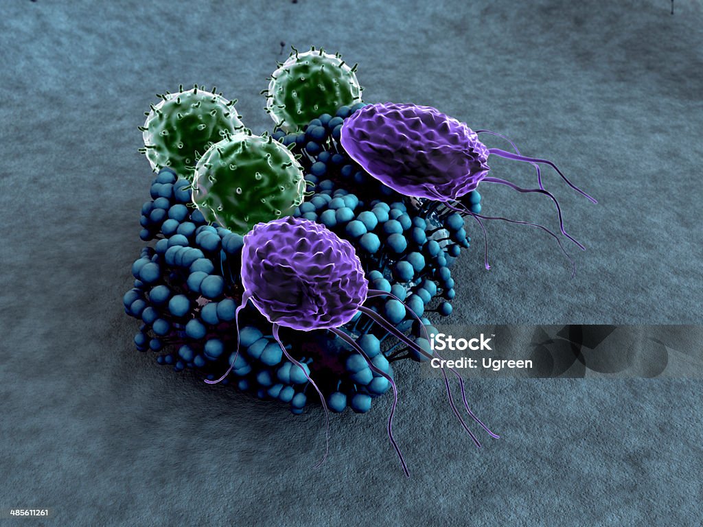 macrophage, lymphocyte - Photo de Moisissure libre de droits