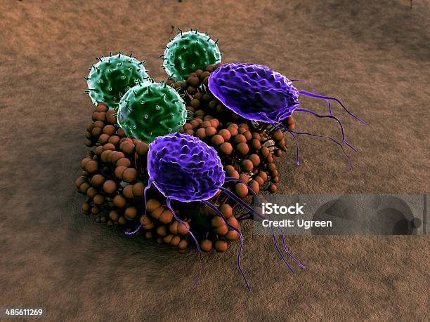 マクロファージリンパ球 - 3Dのストックフォトや画像を多数ご用意 - 3D, うどん粉菌, アメーバ