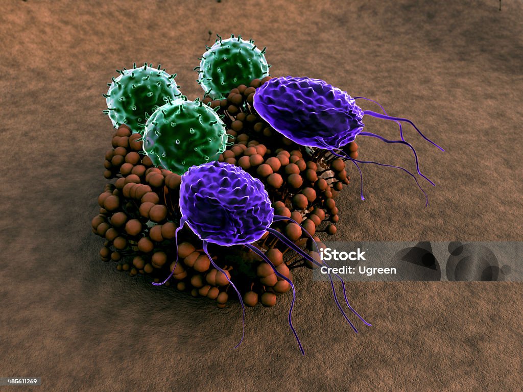 macrophage, limfocytów - Zbiór zdjęć royalty-free (AIDS)