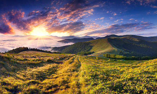 istock Beautiful summer landscape in the mountains. 485611467