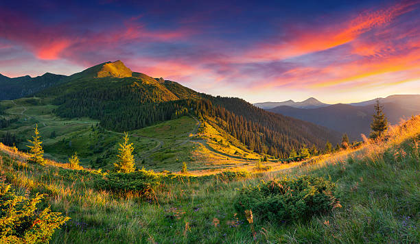 istock Beautiful summer landscape in the mountains. Sunrise 485611471