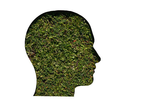 istock head cut on paper and mounted on grass 485613403
