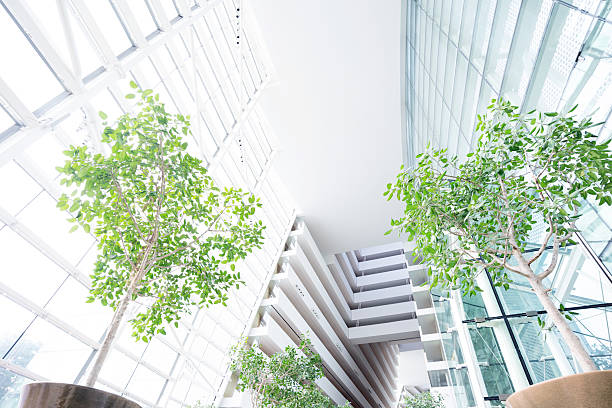 istock contemporary hallway of modern office building 485613479