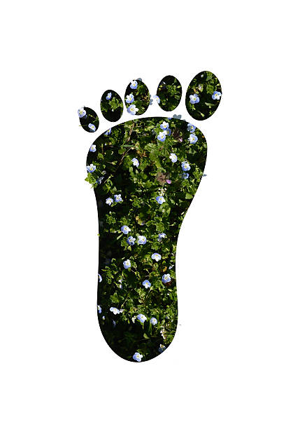 istock cut out foot on grass and flowers 485613781
