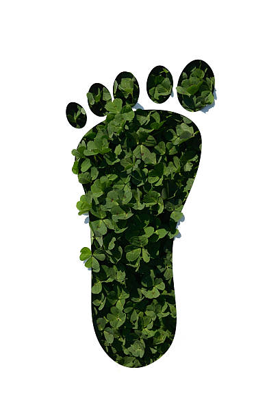 istock cut out foot on gclover 485613789