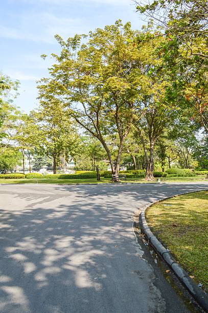 istock road in nature garden 485614198