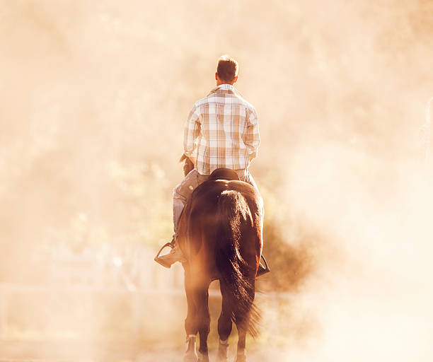 istock Rear view of a man horseback riding in dust. 485614706