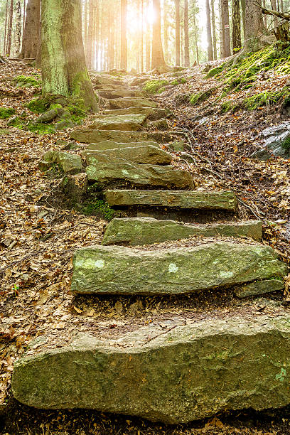 ストーンの階段で、太陽の光 - footpath autumn stone old ストックフォトと画像