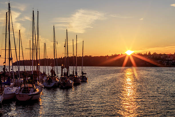 istock Marina at sunset, White Rock, Surrey, BC, Canada 485617934