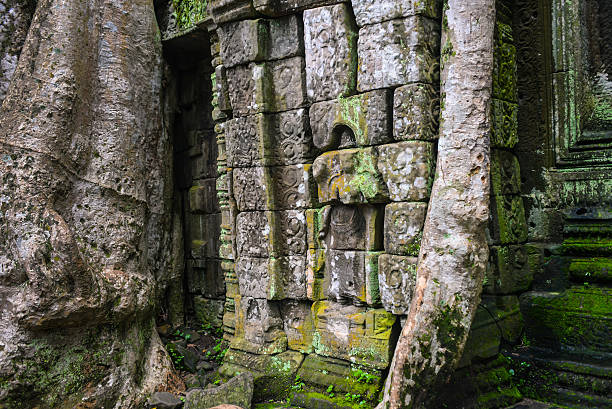 istock stone sculpture and tree roots 485623166