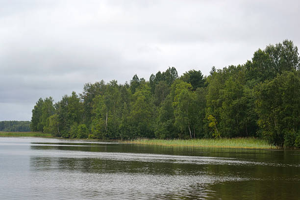 istock Lake shore on a cloudy day. 485624050
