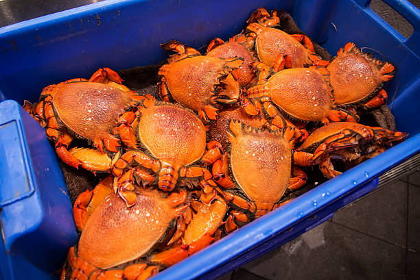 istock Crabs on the market 485625094
