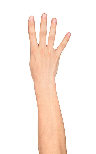 istock hand shows four fingers on an isolated white background 485628030