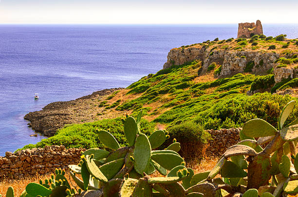 istock SUMMER LANDSCAPE.Salento coast:  Bay Uluzzo (Lecce). -  ITALY (Apulia) - 485628234