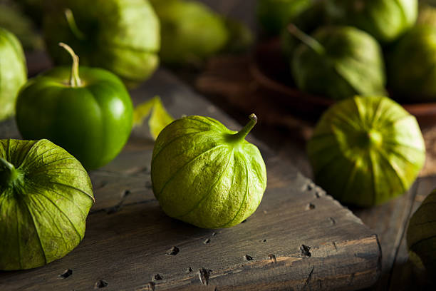 Healthy Organic Green Tomatillos Healthy Organic Green Tomatillos Ready to Eat tomatillo photos stock pictures, royalty-free photos & images