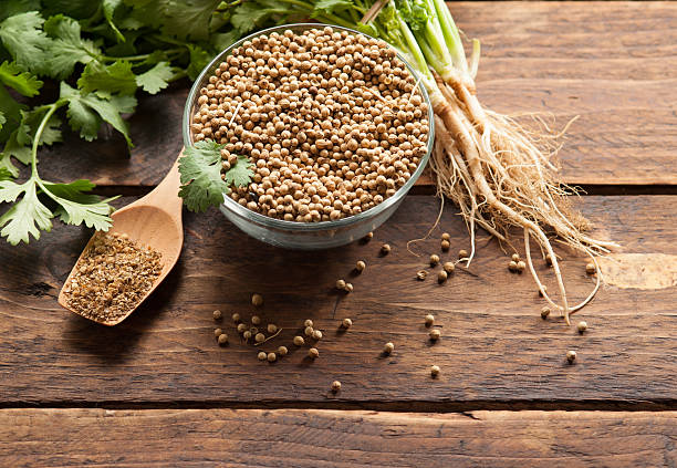 istock Coriander Leaves And Seeds 485629298