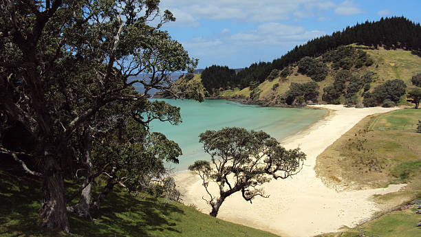 istock Whananaki,  New Zealand 485630045