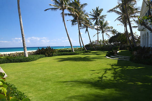 giardino di lusso mansion con splendida vista mare - seaview foto e immagini stock