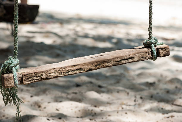 istock Swing hang from big tree over beach,Krabi province ,Thailand 485630545