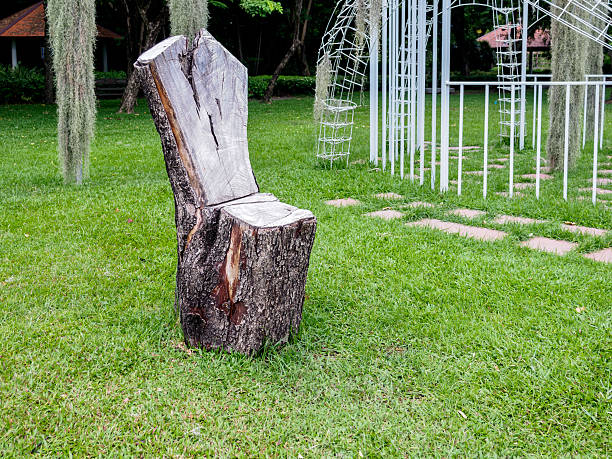 Rustic garden chair in tropical park