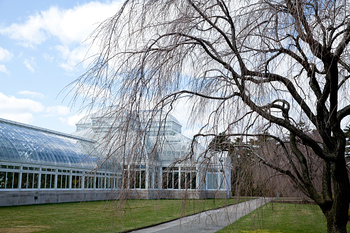 New York City, USA - April 5th, 2014: The Enid A. Haupt Conservatory is a greenhouse in the Bronx, New York, United States, a major part of the New York Botanical Garden. 