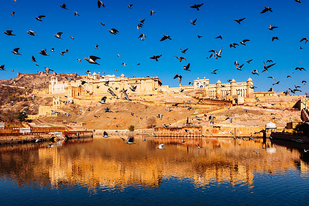 istock Amber Fort Jaipur 485634993
