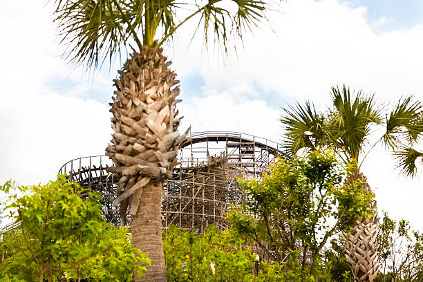 Wooden rollercoaster and palm trees at amusement park in a tropical setting.