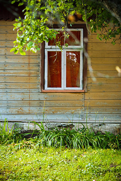 Branch of apple tree in front of windows