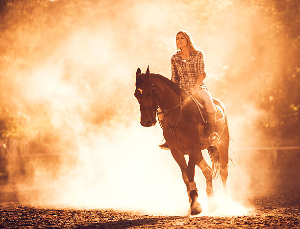 istock Young woman horseback riding at sunset. 485639534