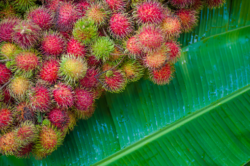 Fresh rambutan on wood background