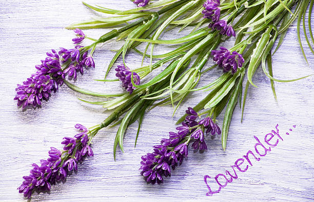 istock Lavender flowers on wood background. 485643290