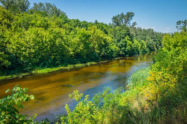 istock Sunny day on a calm river in summer 485646240
