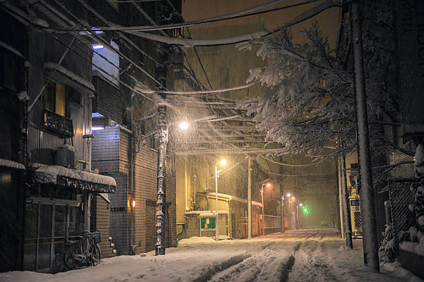 istock The snowfall and home in tokyo at night, Japan 485647018