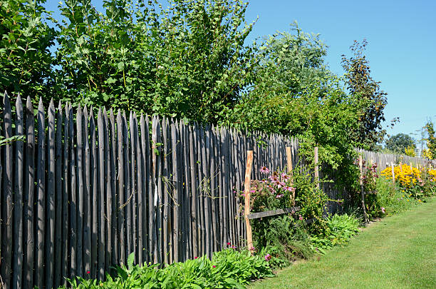 istock Wooden rural fence 485647204