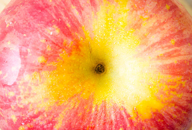 istock Close up image of red apple 485647216