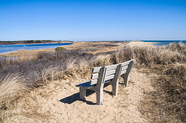 banco con vista - cape cod new england sea marsh fotografías e imágenes de stock