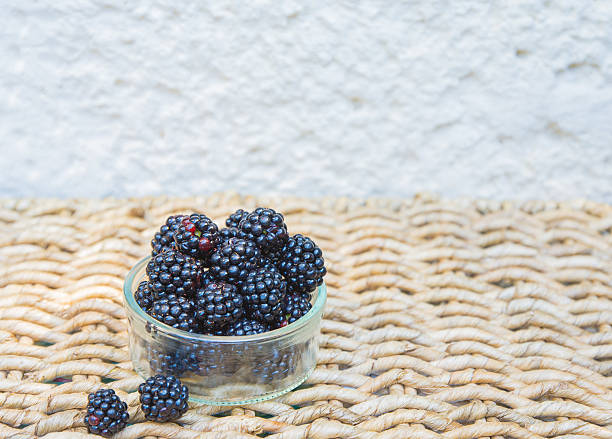 Blackberry. stock photo