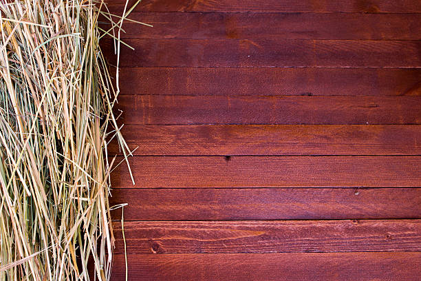 istock Golden autumn fall hay straw texture 485652762