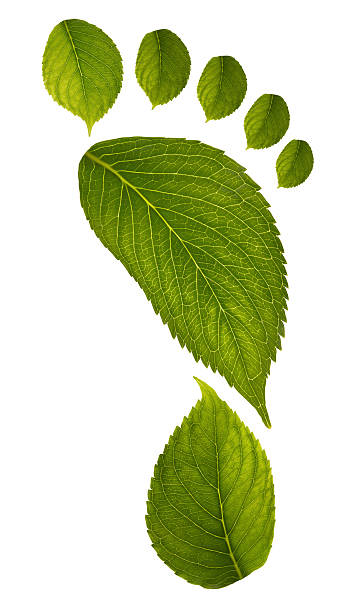istock footprint of leaves - ecology concept 485652893