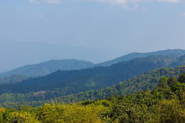 istock Mountain view background in day light at Doi Mae Taman 485654301