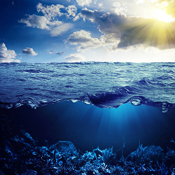 istock Sky, waterline and underwater background 485654309