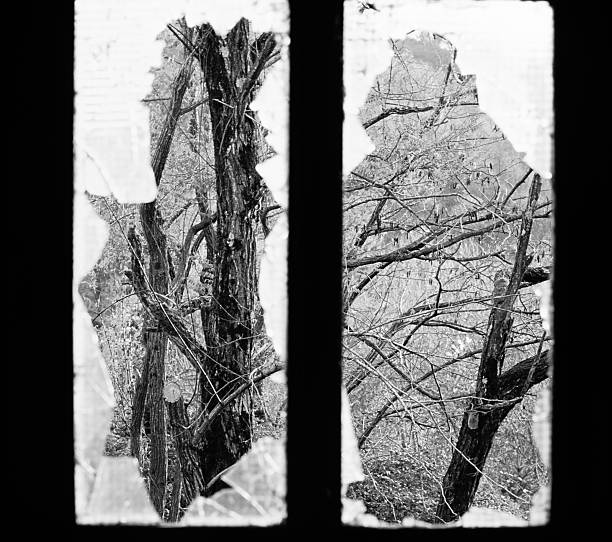 istock Woods seen through the broken glass of a window 485655949