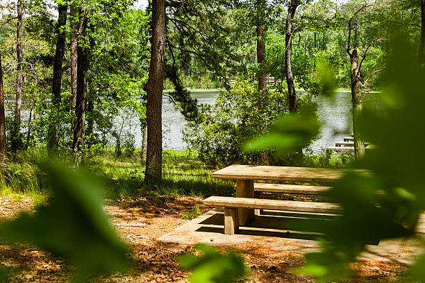 istock Spring trees surround a lake.  Park picnic tables in forest. 485655983
